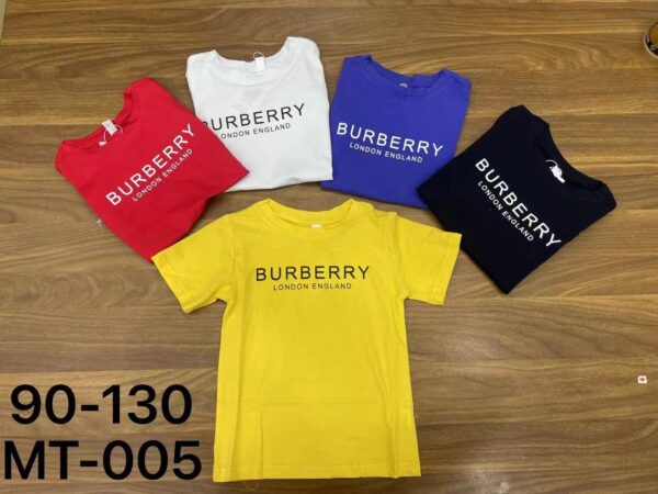 BURBERRY KIDDIES TSHIRTS - small range
( 5 pcs )