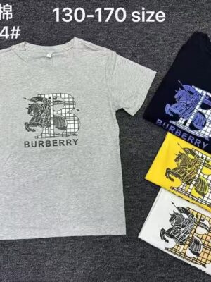 B- BURBERRY TSHIRT 
( 5 pcs )