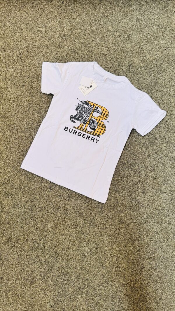B- BURBERRY TSHIRT 
( 5 pcs )