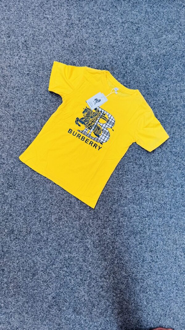 B- BURBERRY TSHIRT 
( 5 pcs )