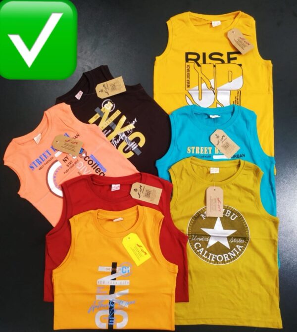 PREMIUM BOYS ARMLESS
 ( 10 pcs )