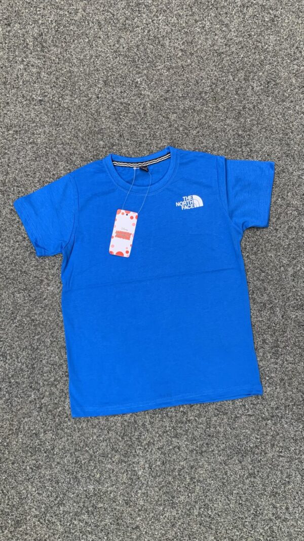 BIG RABGE MIXED  KIDDIES TEES  ( 12 pcs )