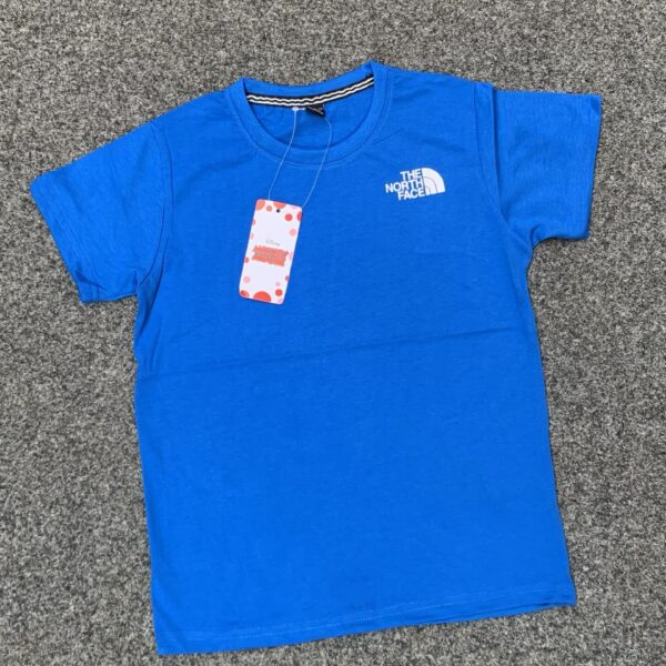 BIG RABGE MIXED  KIDDIES TEES  ( 12 pcs )