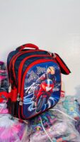 #2 in 1 SCHOOL BAG ( 16 inches)