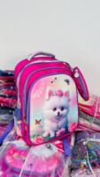 #2 in 1 SCHOOL BAG ( 16 inches)